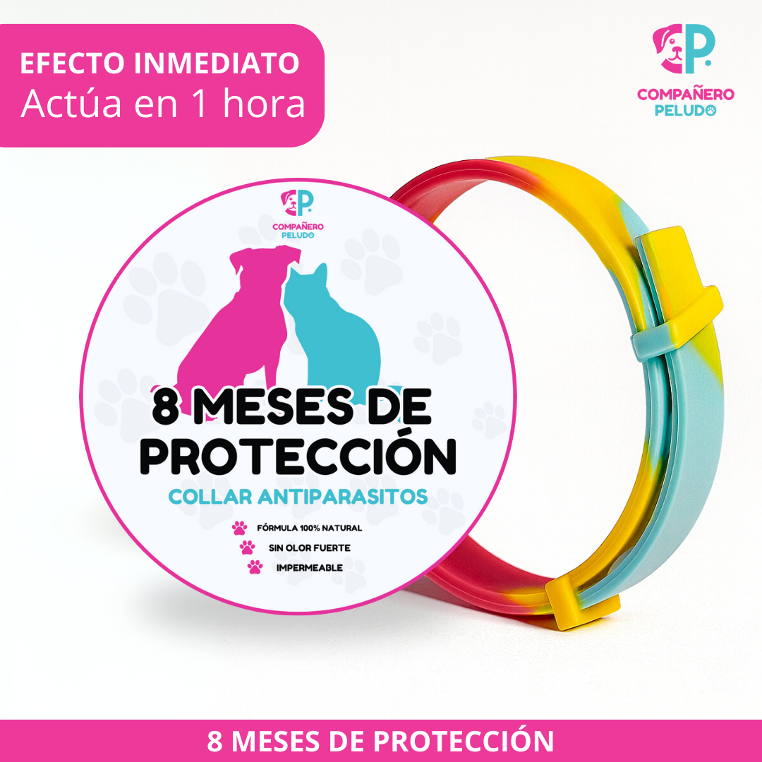 Promoción Especial: Compra 1 Collar Antiparasitario y Llévate 2 – 8 Meses de Protección – Ajustable para Perros y Gatos – Talla 70cm