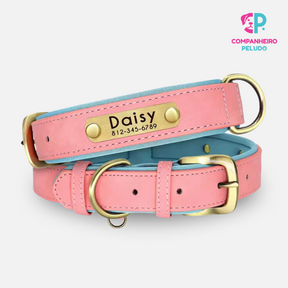 Collar de Cuero Personalizado Para Perros y Gatos – Calidad Premium