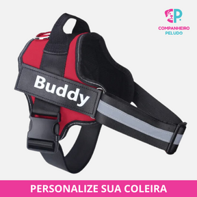 Arnés Personalizado Con Nombre Y Teléfono